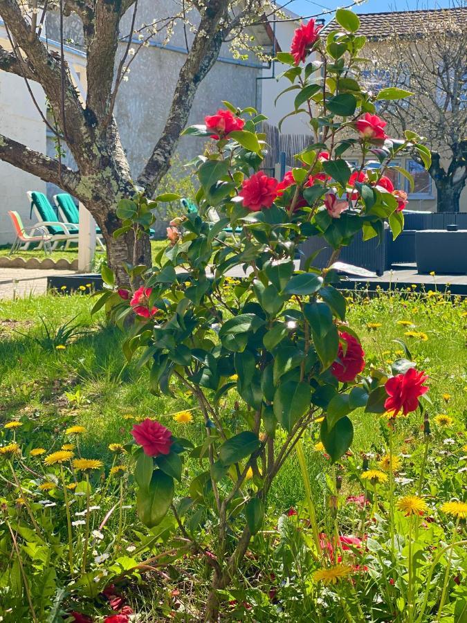 הוילה Coulounieix-Chamiers L'Escapade Perigourdine, Wifi, Parking, Netflix, Piscine מראה חיצוני תמונה